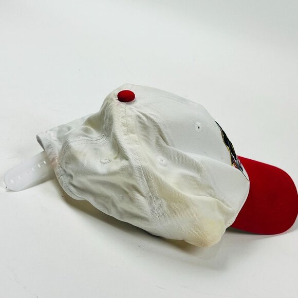 Vintage Twins Enterprise Inc Daytona 500 2004 Snapback Hat - Picture 3 of 5